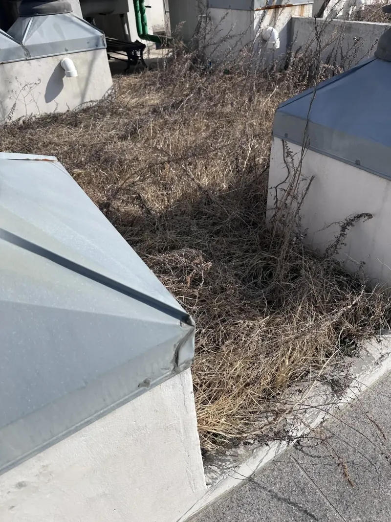 마른 풀이 덮인 옥상 바닥과 구조물 모서리